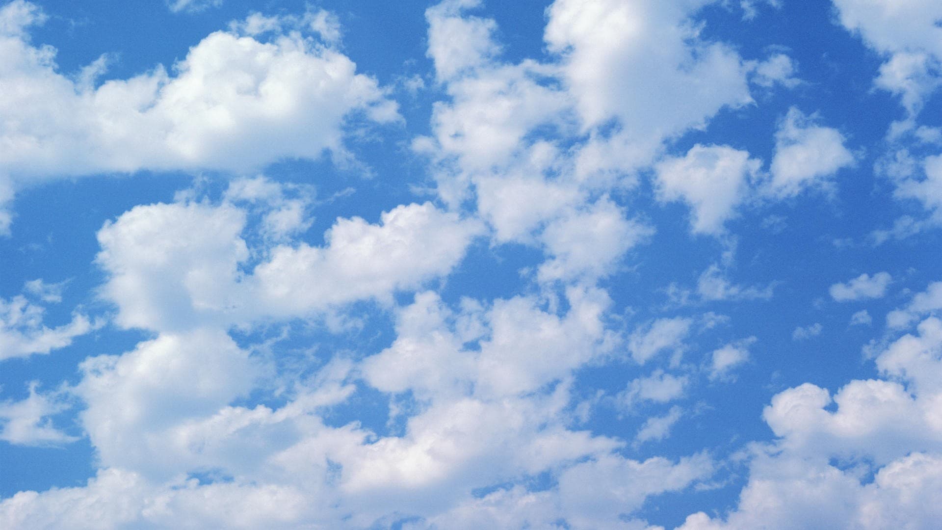 Profile banner