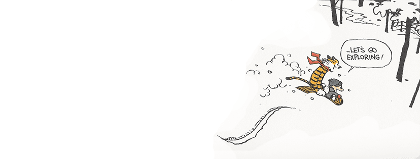 Profile banner